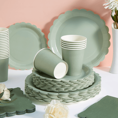 Pappgeschirr-Set in Salbeigrün