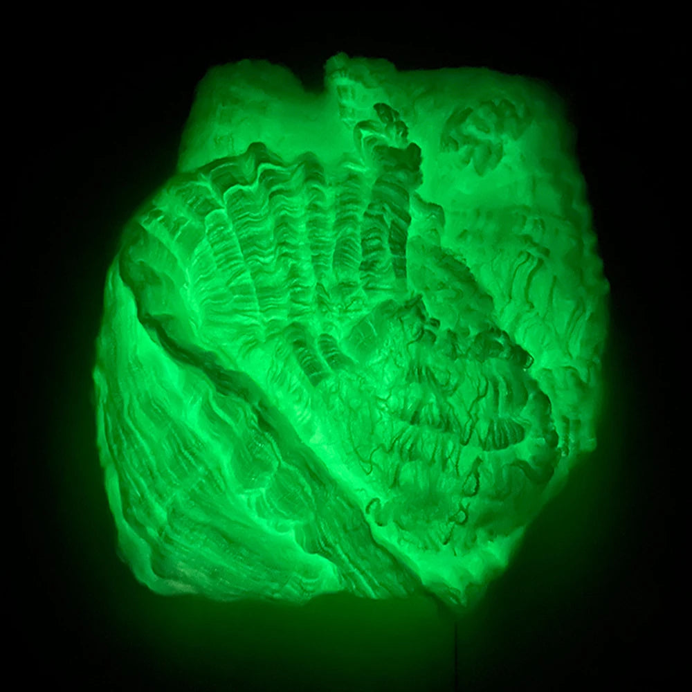 Im Dunkeln leuchtende Spinnennetze